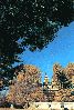 five-towers-temples.gif